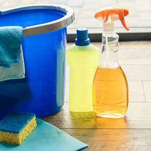 Entretien domestique