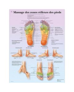 Planche "Massage des zones réflexes des pieds" plastifiée