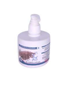 Gel hydroalcoolique Digontammin 300ml avec pompe