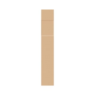 Protectaplast Pro prédécoupé, couleur chair 180x20mm M01