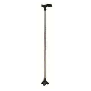 canne de marche non pliable argentée avec socle M01