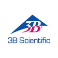 3B