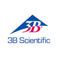 3B