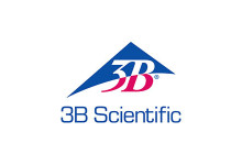 3B