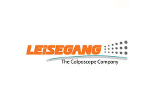 Leisegang