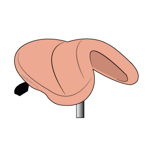 Silla de montar