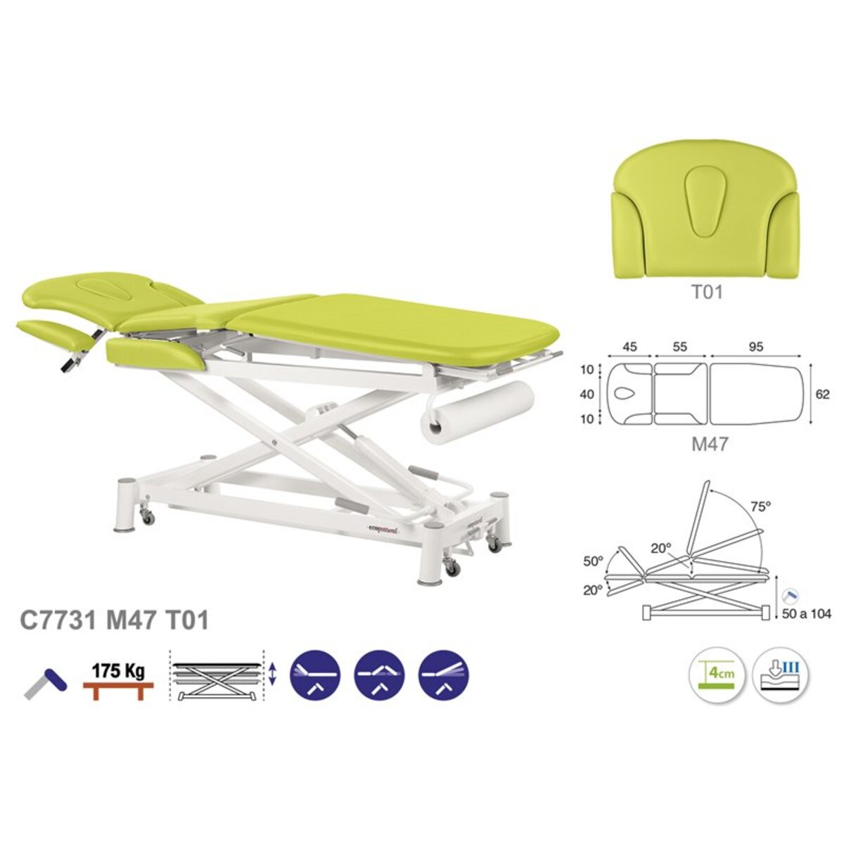 ASCC31 C5931C7931C5531C7531 Table electrique multifonction T01 62x200 serie C31 M07