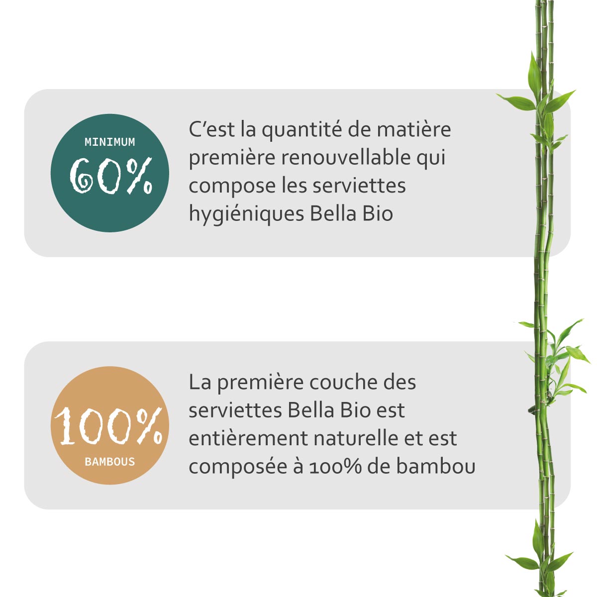 BE-013-XWXX-W01 Serviette hygiénique Bella Bio M02