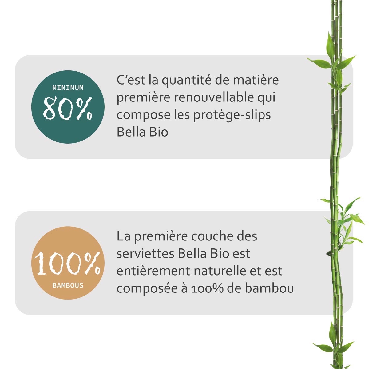 BE-022-RN2X-W01 Protège-slip Bella Bio M02