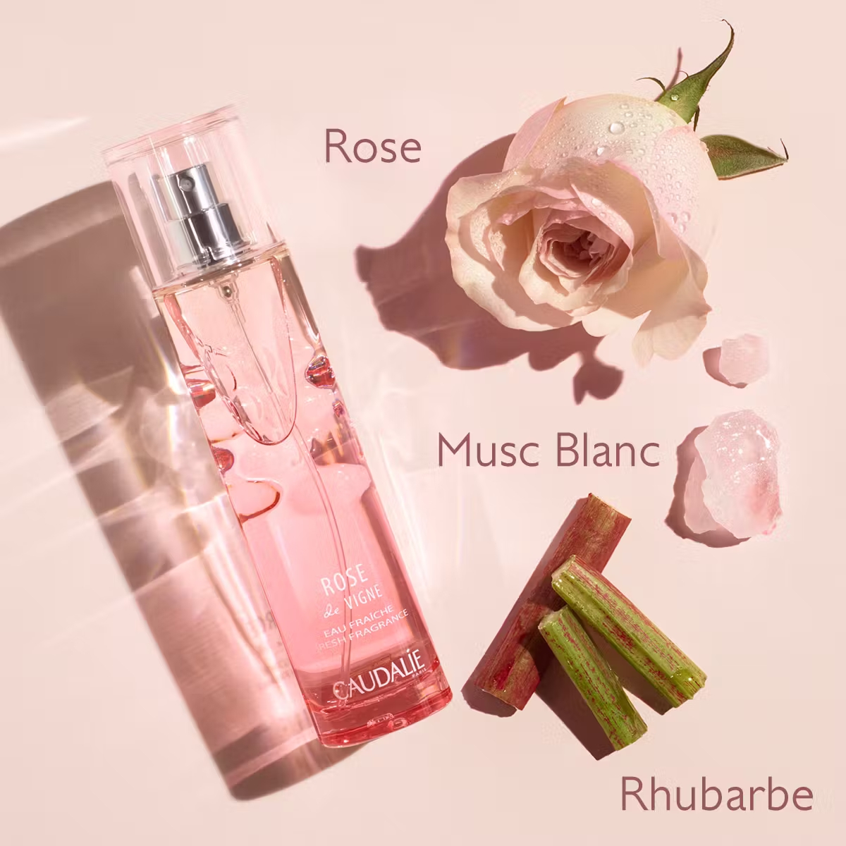 CAUDALIE EAU FRAICHE ROSE DE VIGNE 50ML NF M04
