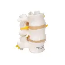 A76-8_02_3-Human-Lumbar-Vertebrae-Flexibly-Mounted.webp