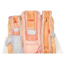 G42_07_3B-MICROanatomy-Artery-Vein-Model-14-times-Enlarged.webp