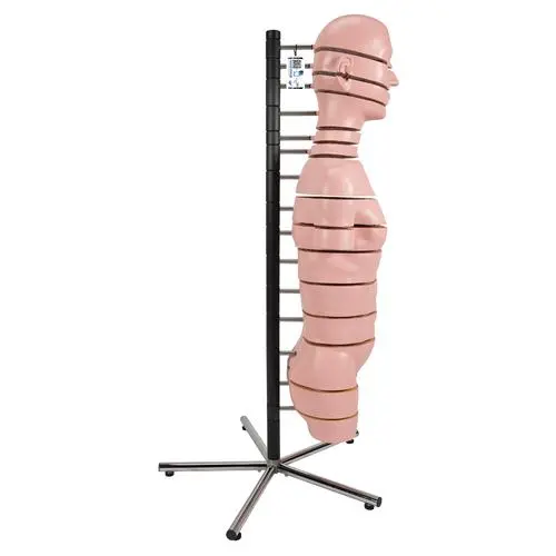 VA20_03_Torse-en-tranches-15-tranches.webp