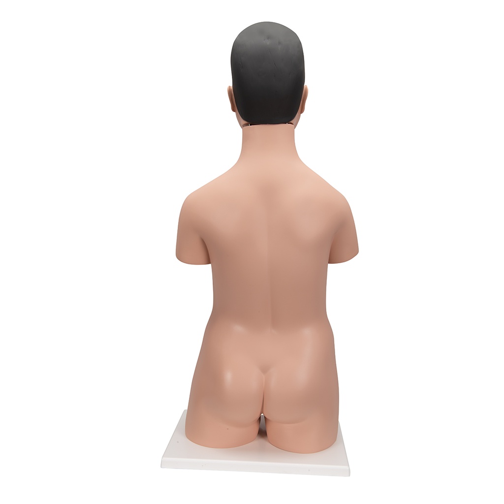 image_03