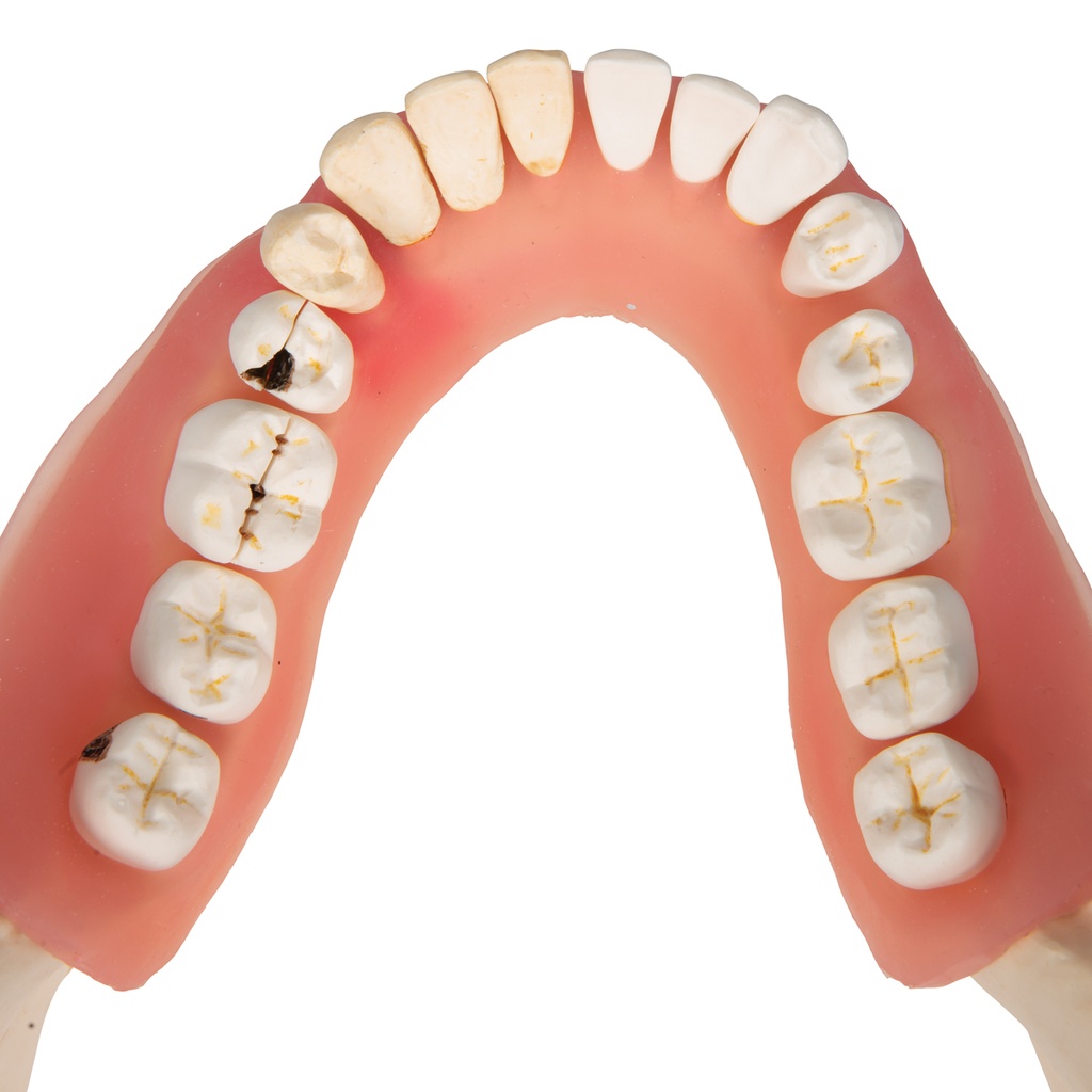 image_07