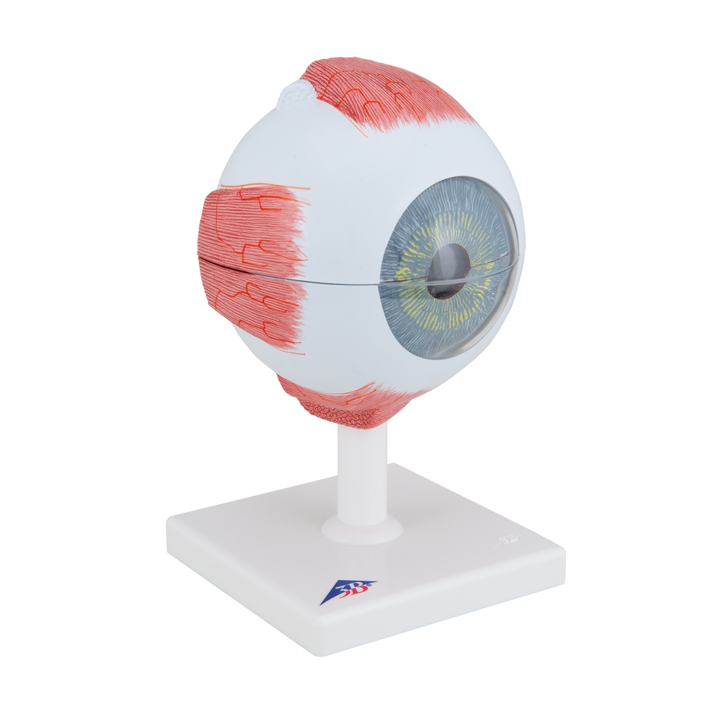 image_02