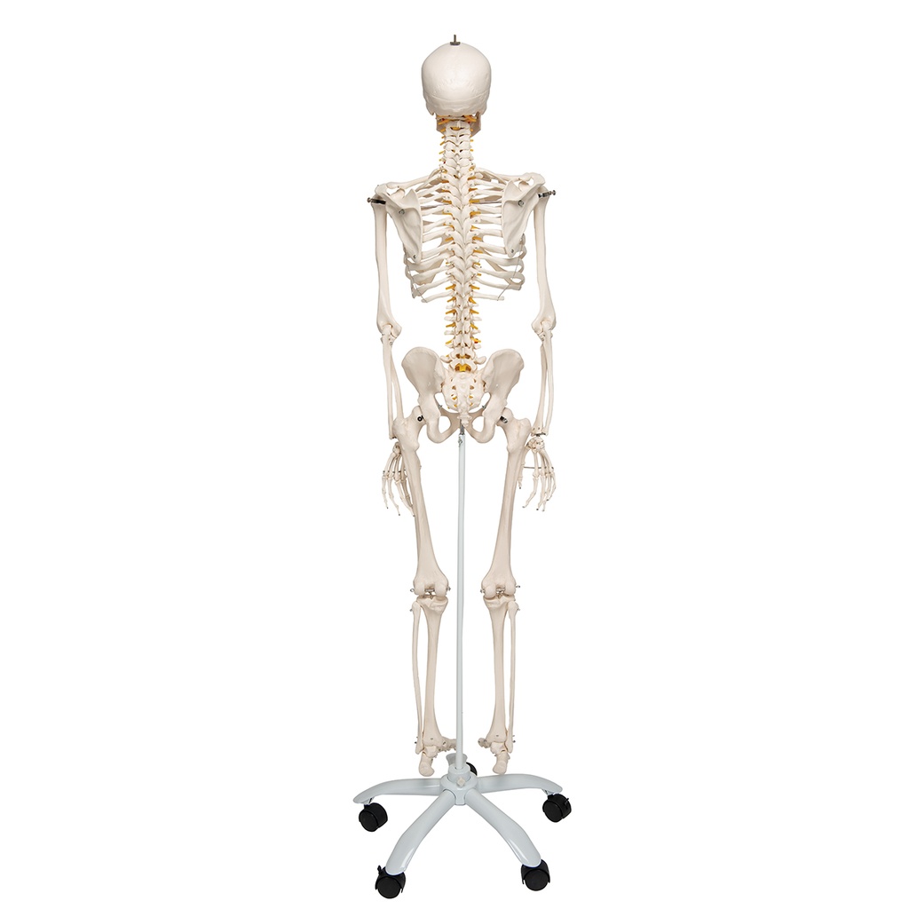 image_02
