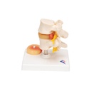 image_02