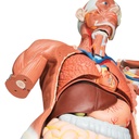 image_05