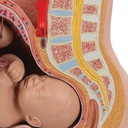 image_06