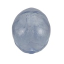A20-T_04_Transparent-Classic-Human-Skull-Model-3-part