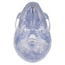 A20-T_07_Transparent-Classic-Human-Skull-Model-3-part