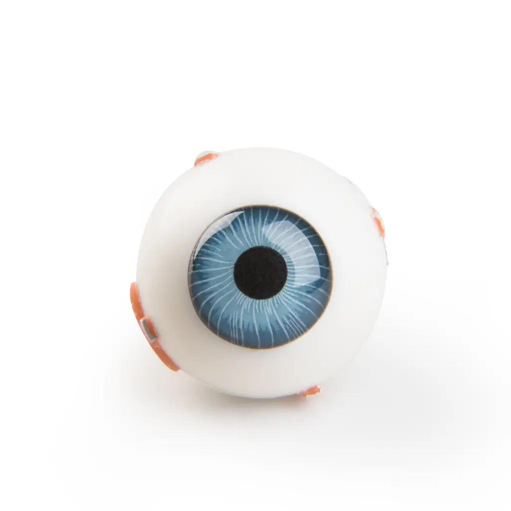 XYZ3_02_1200_1200_Torso-Eye-for-VA01-1001235-und-VA16-1001236.webp