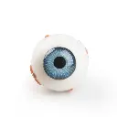 XYZ3_02_1200_1200_Torso-Eye-for-VA01-1001235-und-VA16-1001236.webp