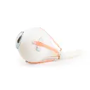 XYZ3_03_1200_1200_Torso-Eye-for-VA01-1001235-und-VA16-1001236.webp