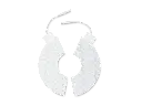 20230721054908_179688.webp