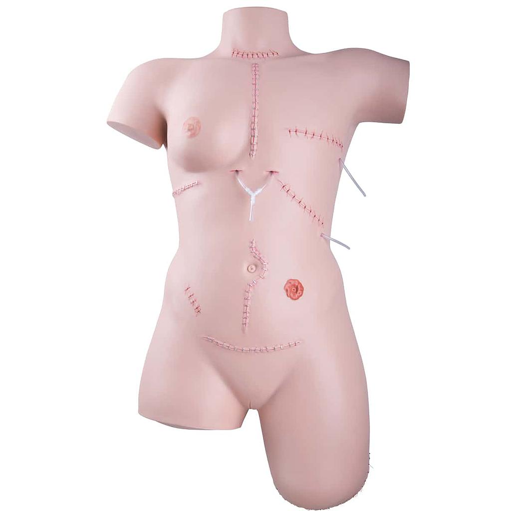 Simulateur de soins de plaies et technique de pansements