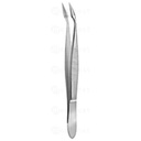 Pince à échardes HUNTER courbe 10.5cm