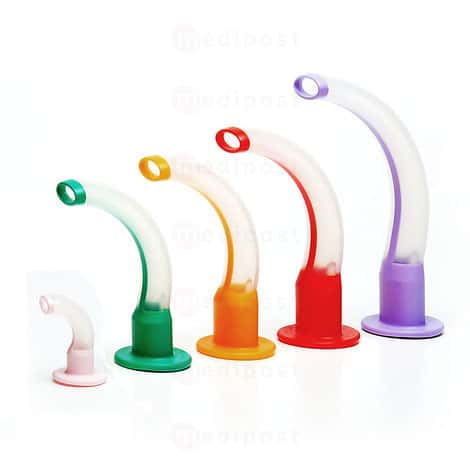 Steriele Guedelcanule T