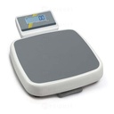 Vlakbedweegschaal 250kg/100g Kern &amp; Sohn A/S Klasse III