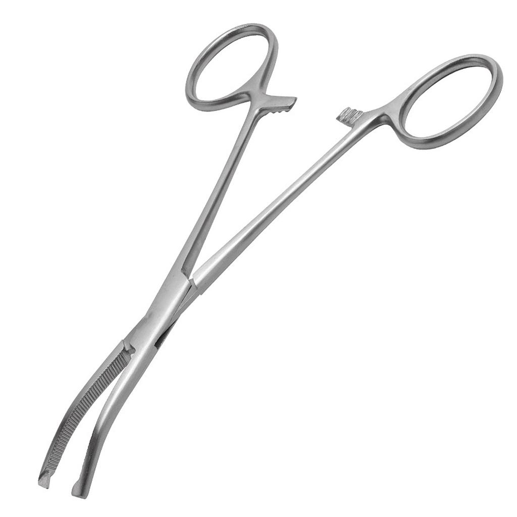 Pince hémostatique Kocher Courbe qualité courante