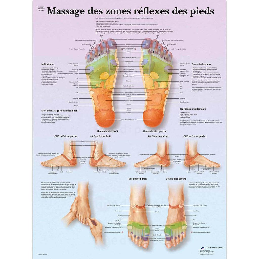 Planche "Massage des zones réflexes des pieds" plastifiée