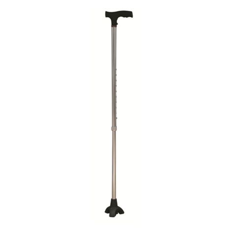 Canne de marche non pliable argentée avec socle