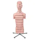 Torse en 15 tranches 3B Scientific®