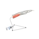 Structure interne du doigt 3B Scientific®