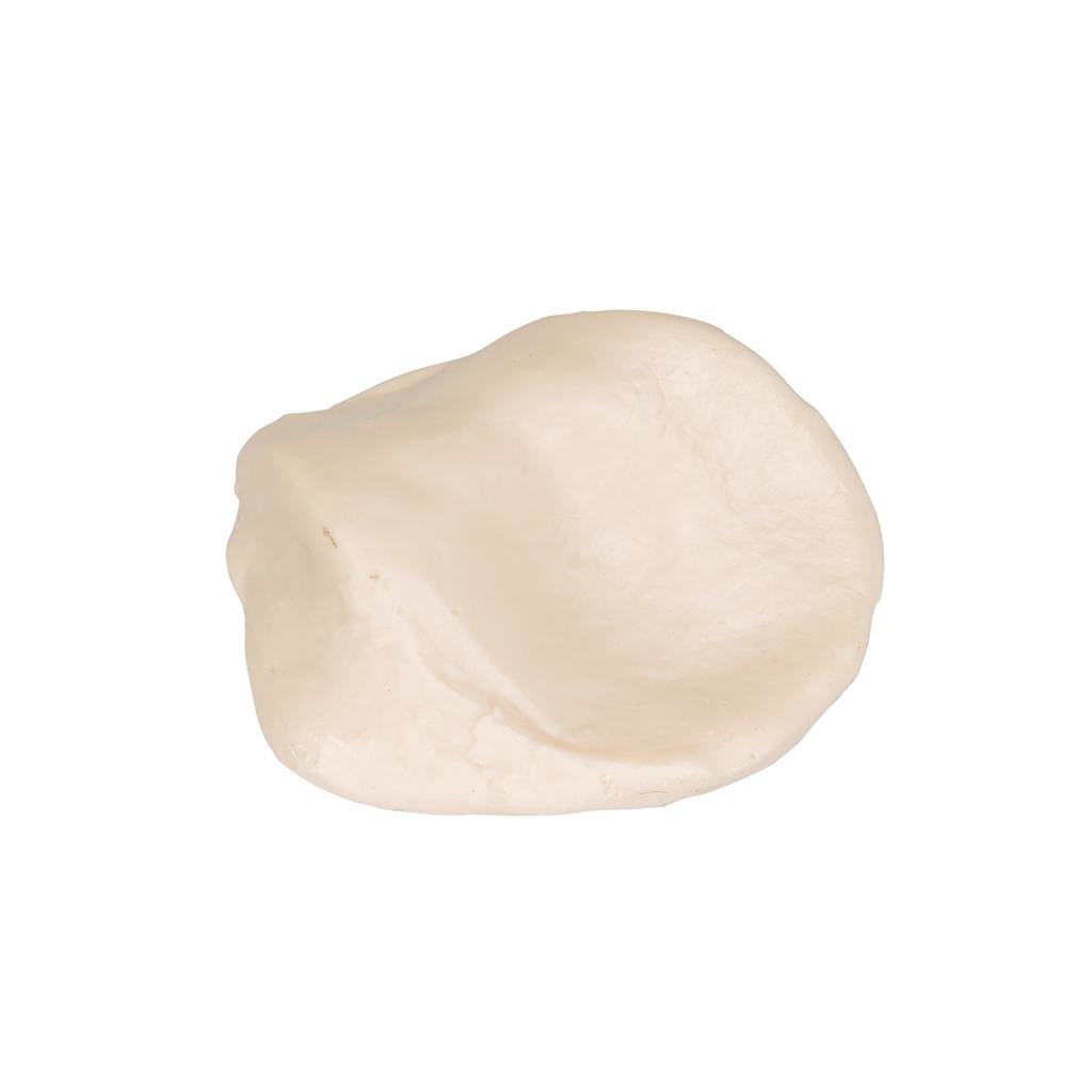 Rotule 3B Scientific®
