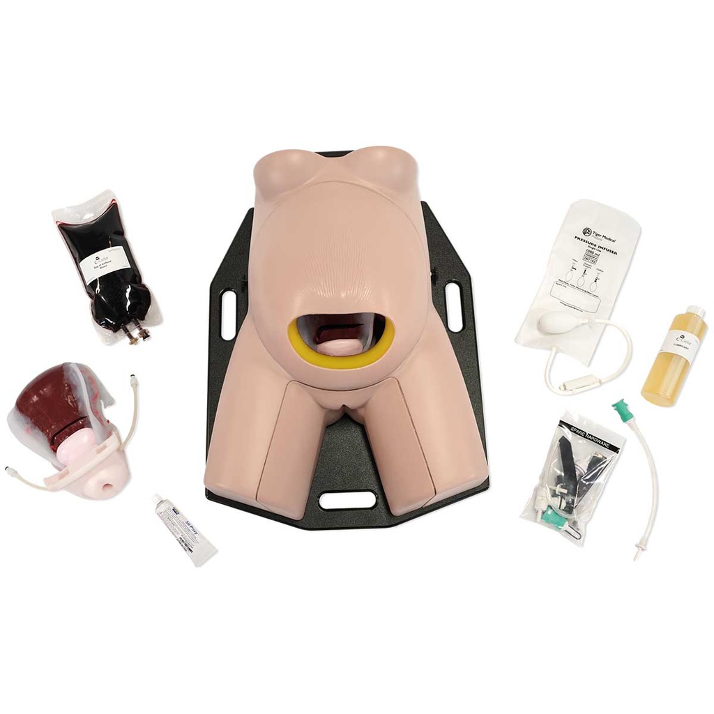 Simulateur de contrôle d'hémorragie post-partum C-Celia 3B Scientific®