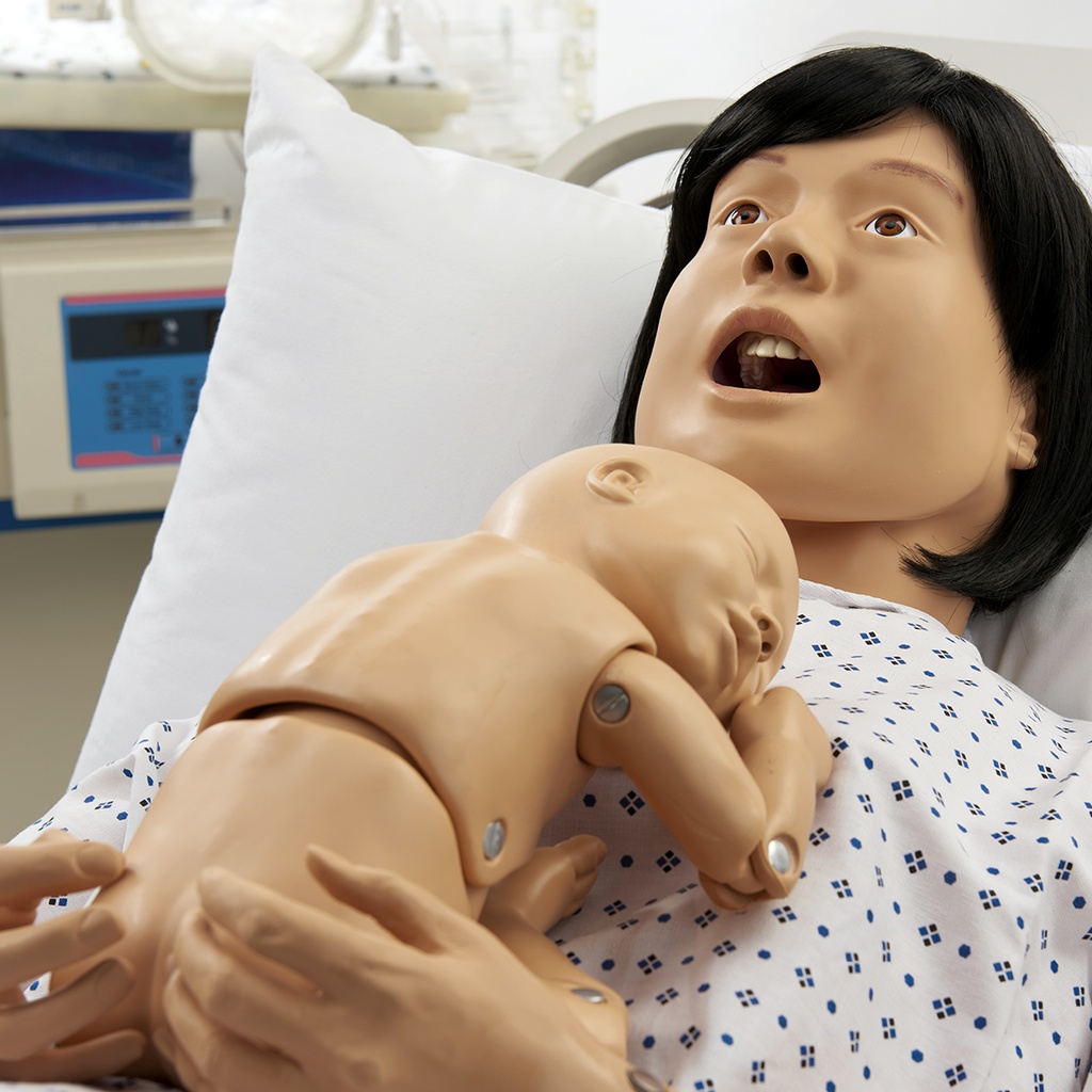 Lucy de base 3B Scientific®