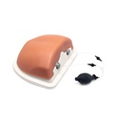 Simulateur d'injection rachidienne thoracique P66 3B Scientific®