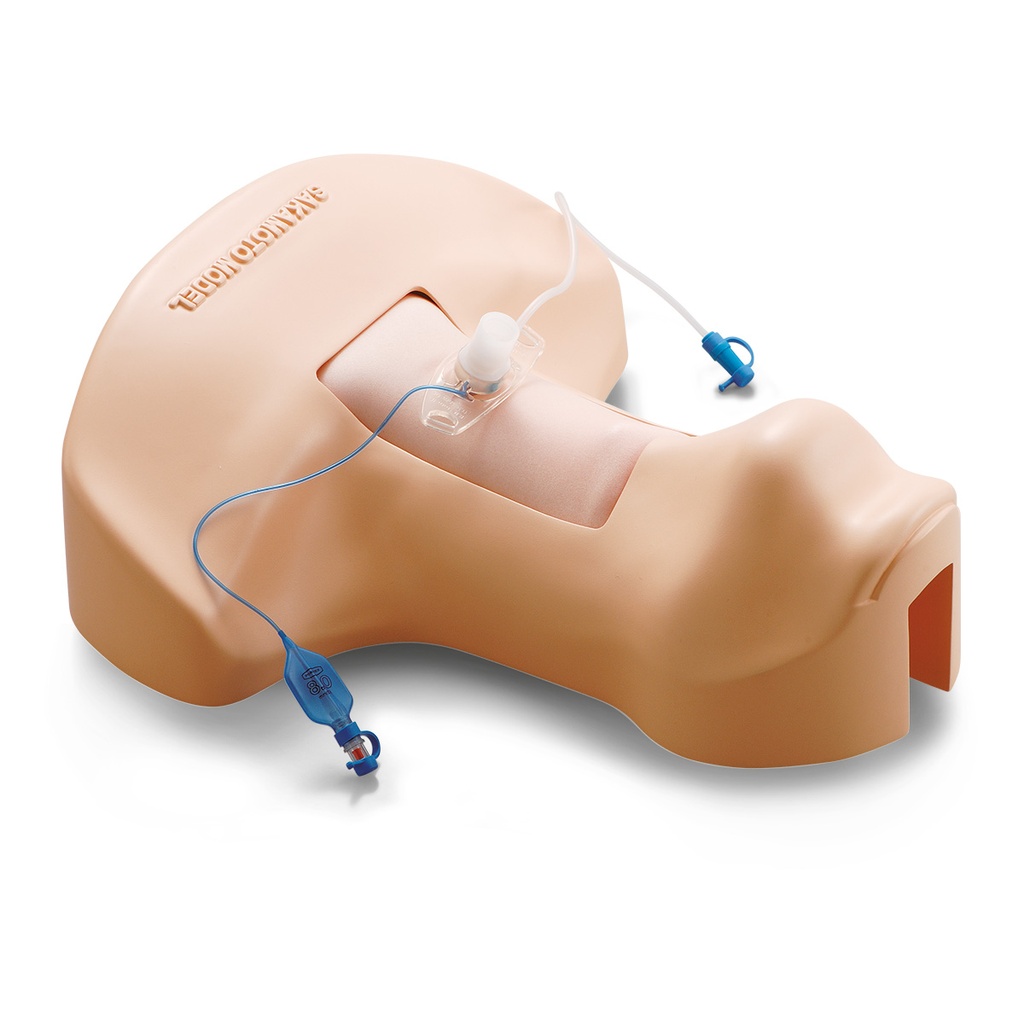 Simulateur de trachéotomie 3B Scientific®