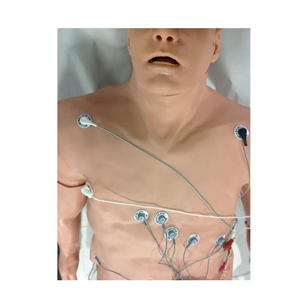 Simulateur d'arythmie 12 dérivations avec overlay 3B Scientific®