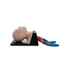 AirSim Child Bronchi X light 3B Scientific®