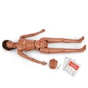 Mannequin KERi complet brun moyen 3B Scientific®
