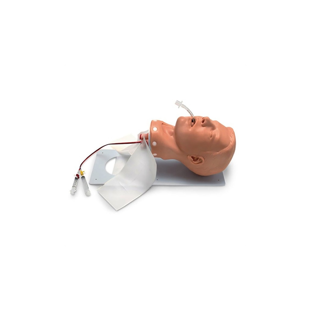 Mannequin de gestion des voies aériennes adulte de luxe 3B Scientific®