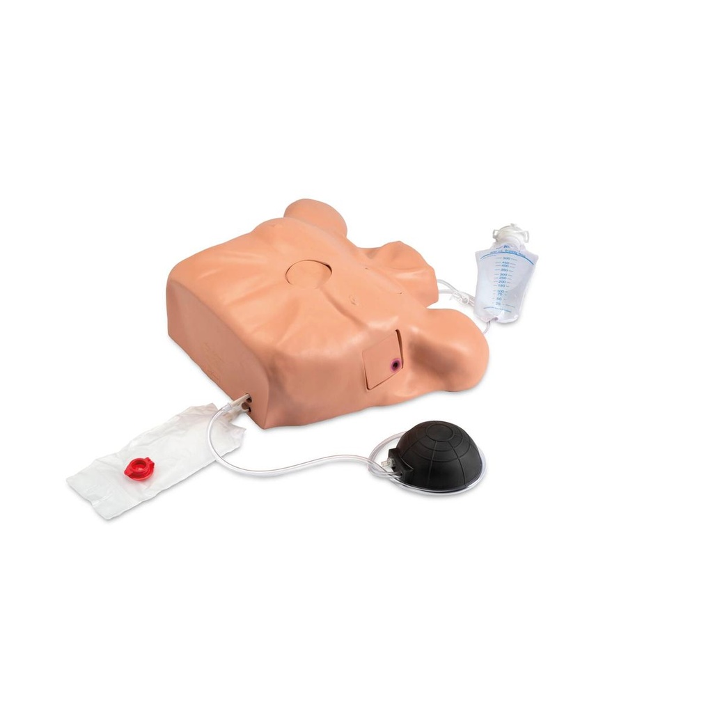 Simulateur de péricardiocentèse 3B Scientific®