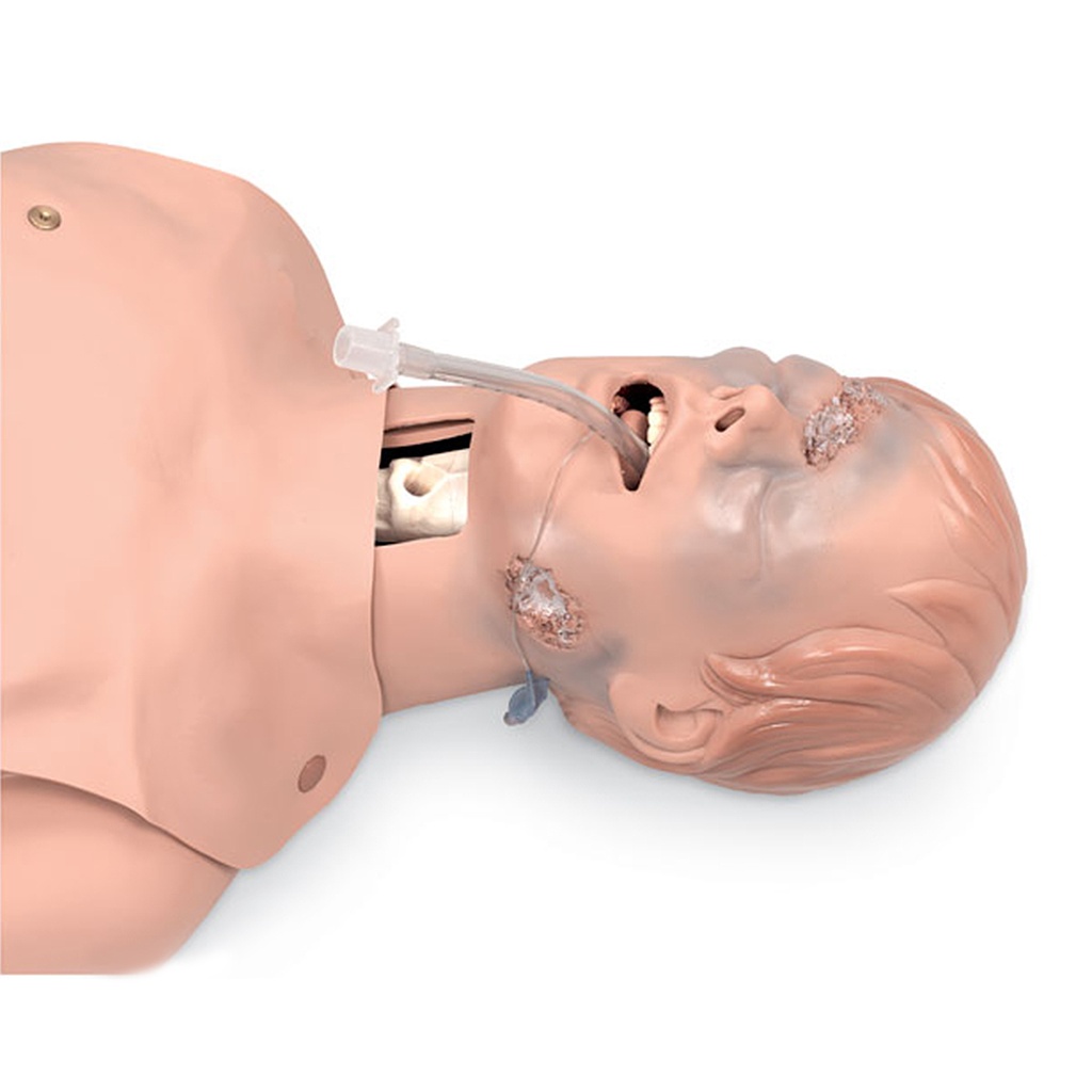 Simulateur de gestion des voies aériennes critiques 3B Scientific®